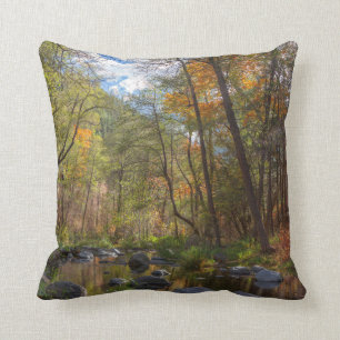 SEDONA ARIZONA STREAMING ANOTHER DAY CUSHION