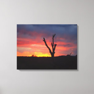 Sedona Sunset Canvas Print