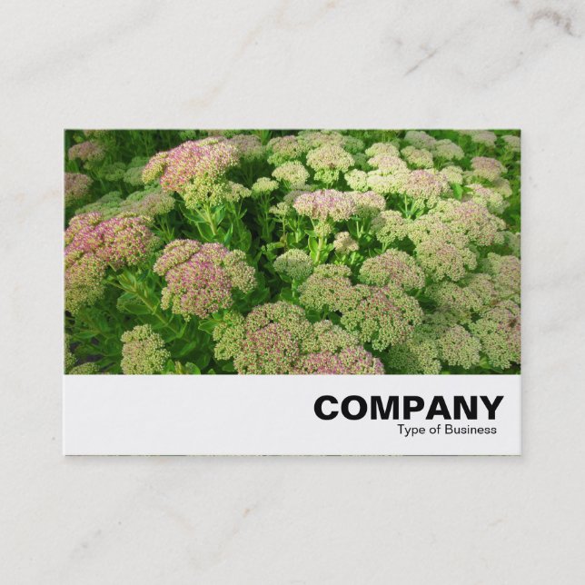 Sedum "Autumn Joy" Business Card (Front)