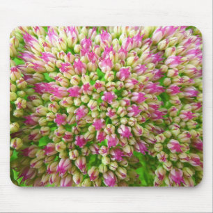 Sedum Autumn Joy Mouse Pad