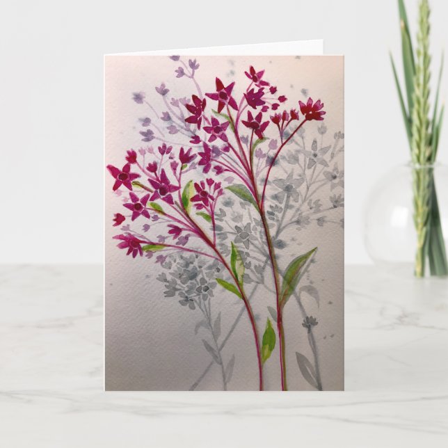 Sedum - Blank inside greeting card  (Front)