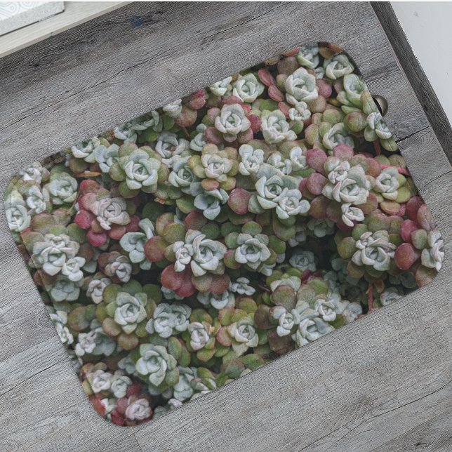 Sedum Spathulifolium Succulents Floral Bath Mat (In Situ)