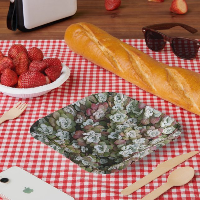 Sedum Spathulifolium Succulents Floral Paper Plate (Picnic)