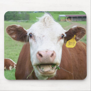 See-Food Cow Mousepad