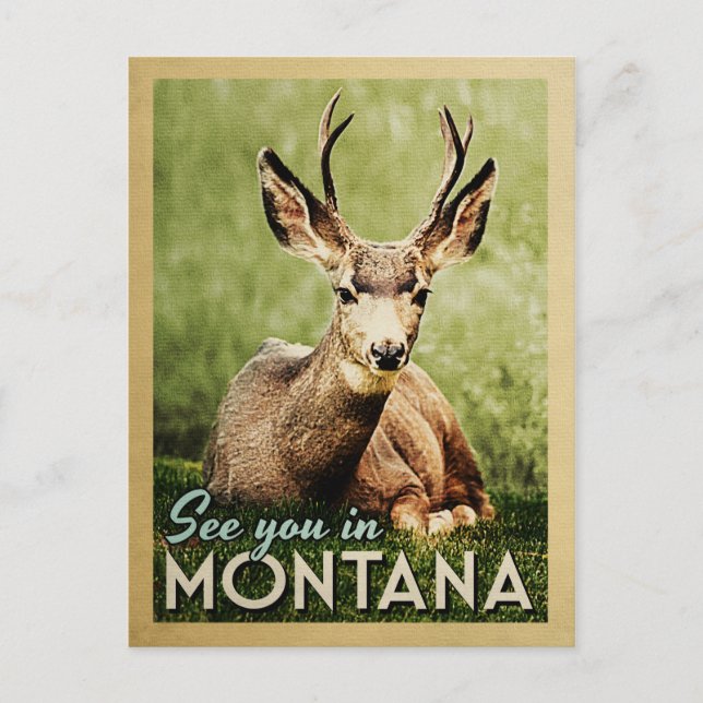 See You In Montana - Stag Deer Wildlife Postcard (Front)