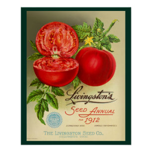 Seed Annual Poster