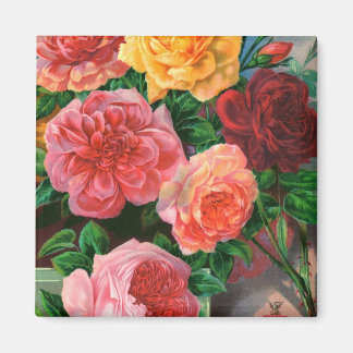 Seed Catalogue 1 Roses Magnet