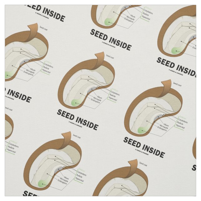 Seed Inside Bean Anatomy Humour Fabric (Swatch)