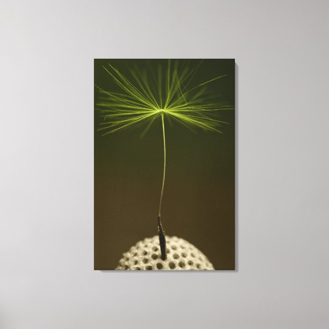 Seed Of A Dandelion Photo on Canvas Print (Front)