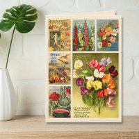Seed Packet Collage Vintage Flower Farm Folded