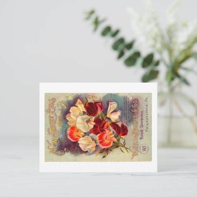 Seed Packet Postcard.  Postcard (Standing Front)