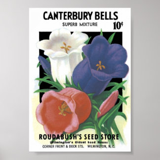 Seed Packet Vintage Poster