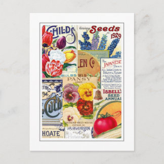 Seed Packets Postcard