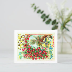 Seed Packets. Postcard