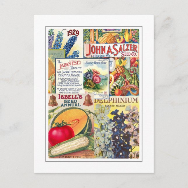 Seed Packets Postcard (Front)