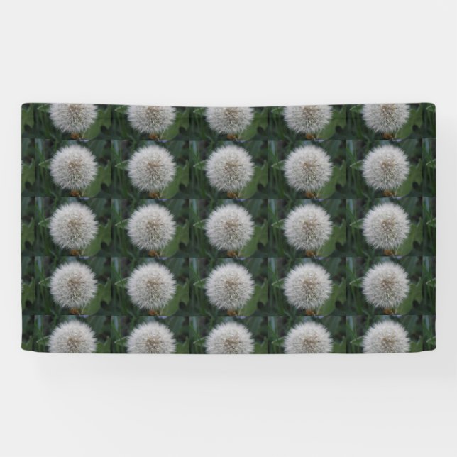 Seeding Dandelion Flower Banner (Horizontal)