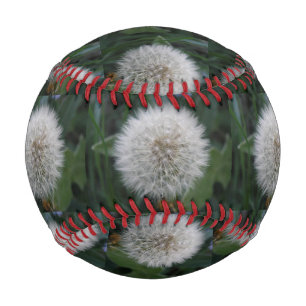 Seeding Dandelion Flower Baseball