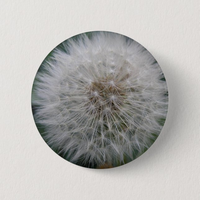 Seeding Dandelion Flower Button (Front)