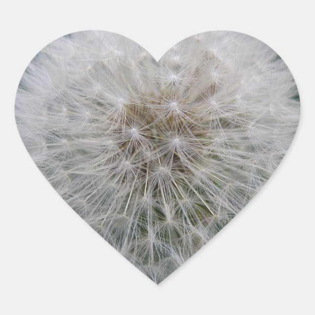Seeding Dandelion Flower Stickers (Front)
