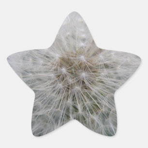 Seeding Dandelion Flower Stickers