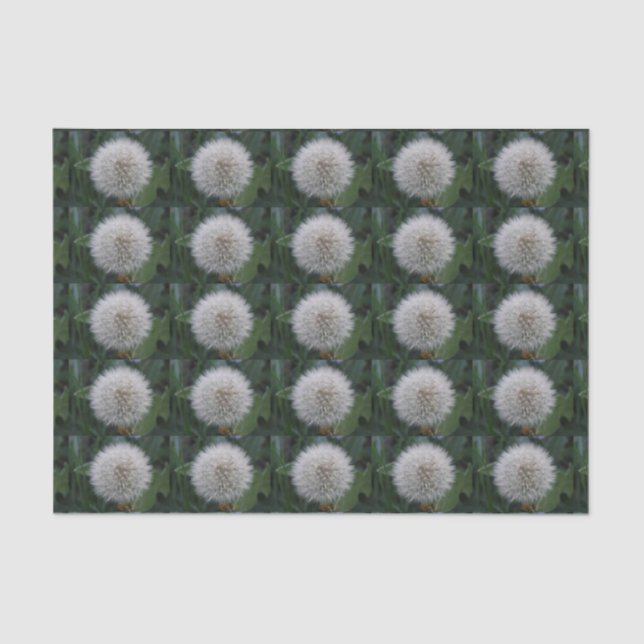 Seeding Dandelion Flower Tissue Paper (Front)