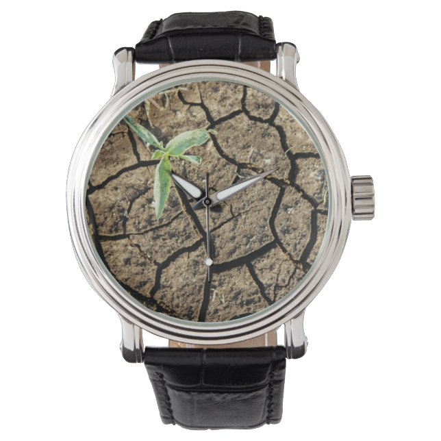 Seedling In Cracked Earth Watch (Front)