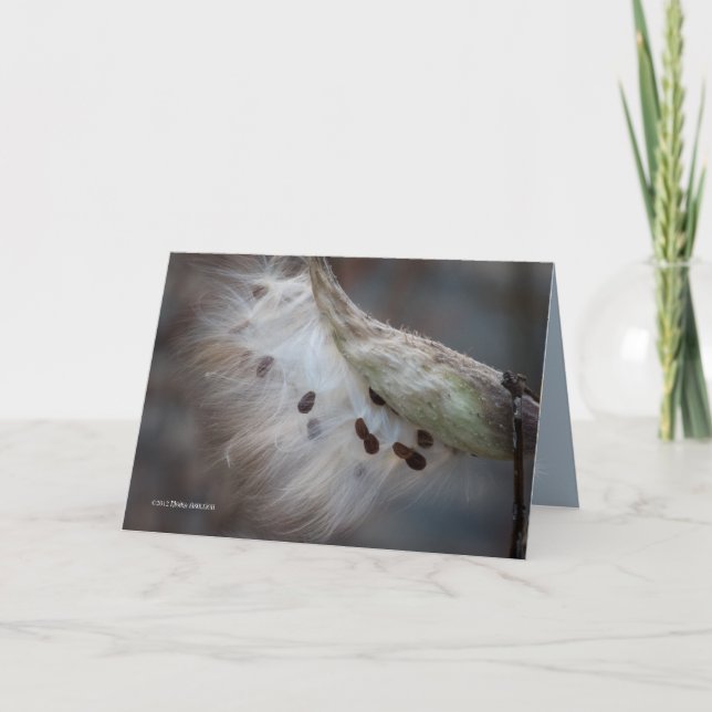 Seeds 4 tomorrow card (Front)