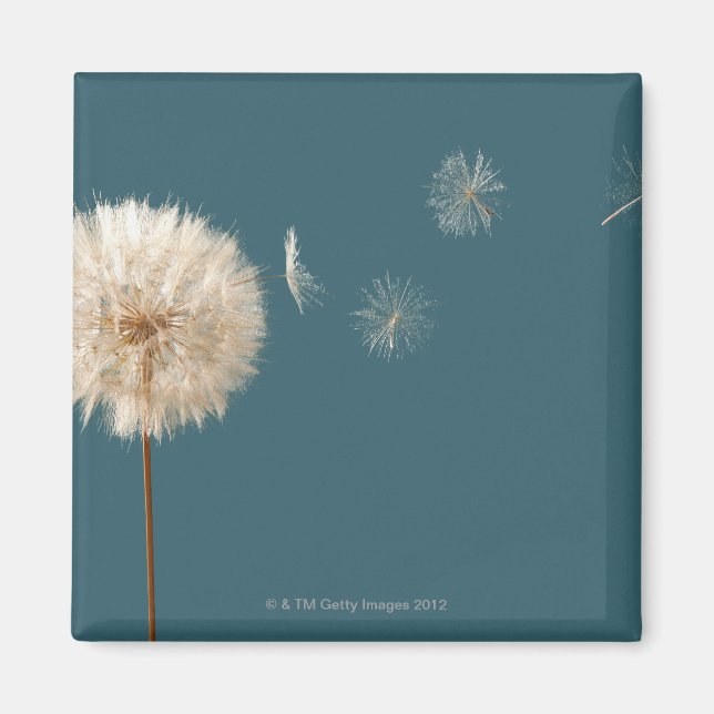 Seeds blowing off wishing weed magnet (Front)