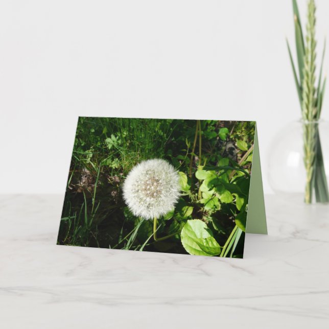 Seeds Ready to Fly Card (Front)