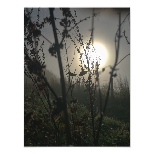 Seeing big in small photo print (Front)