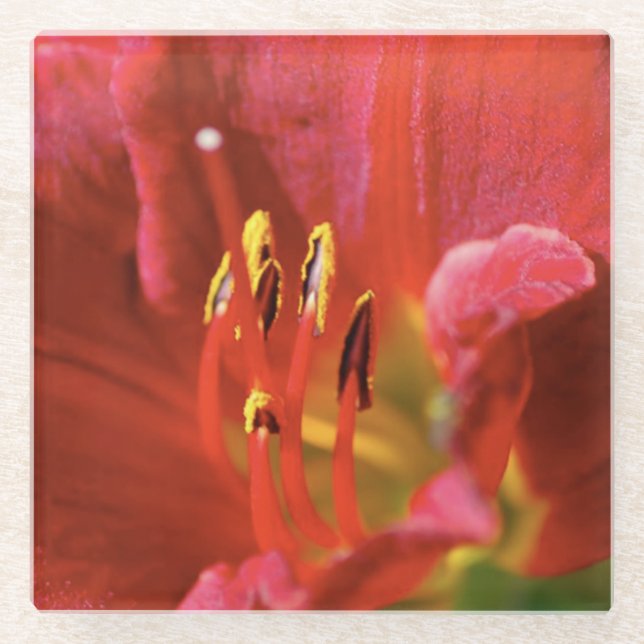 Seeing Red Glass Coaster (Front)