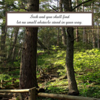 Seek and you shall find