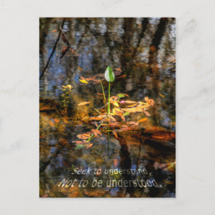 Seek to Understand, Not to be Understood Postcard