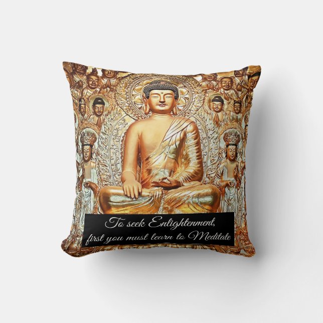 Seeking Enlightenment Cushion (Front)