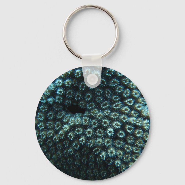 Seepocken Key Ring (Front)