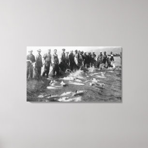 Seining Salmon in Astoria, OR Photograph Canvas Print