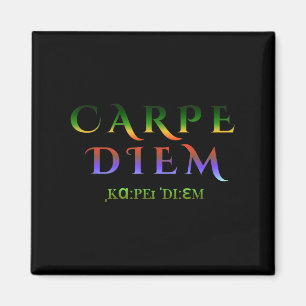 Seize Day Carpe Quote Diem Latin Inspirational Tro Magnet
