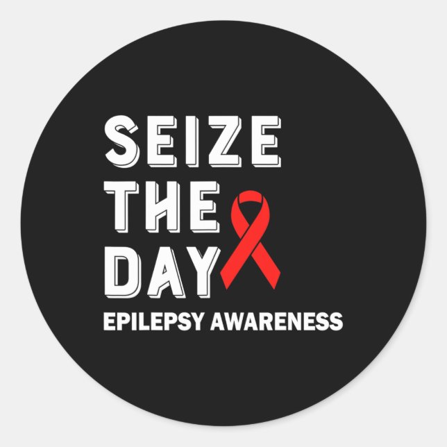 Seize The Day Epilepsy Awareness  Classic Round Sticker (Front)