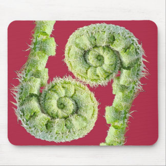 Seize the day mouse pad