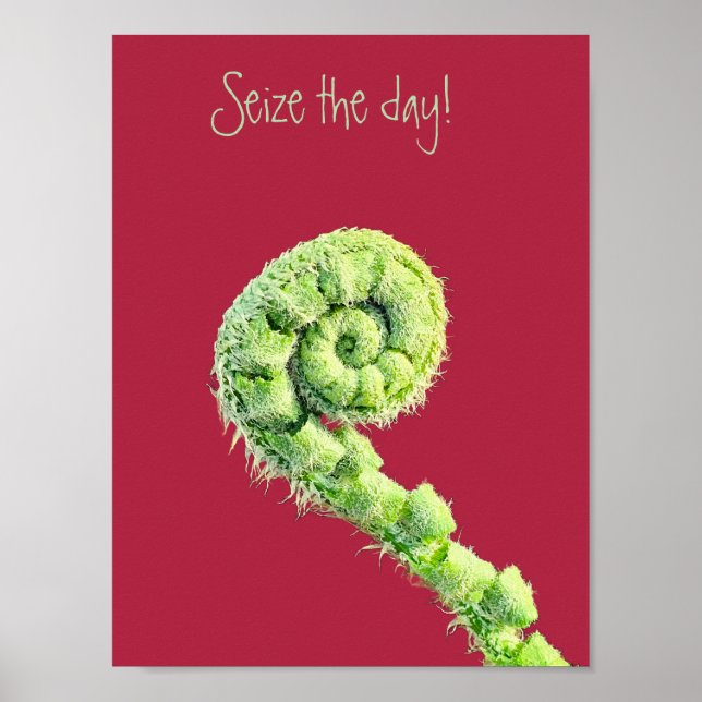 Seize the day poster (Front)