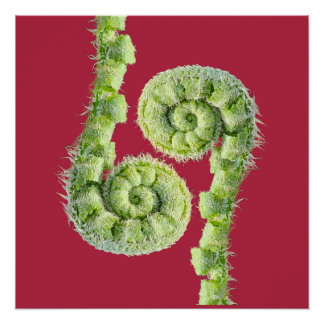 Seize the day poster