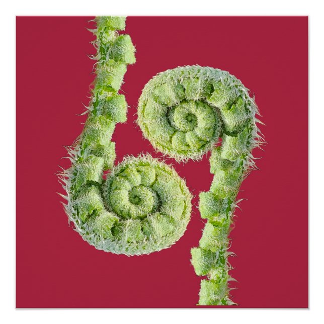 Seize the day poster (Front)