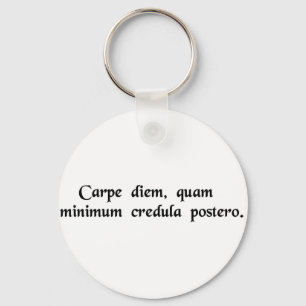 Seize the day, trust as little as possible...... key ring