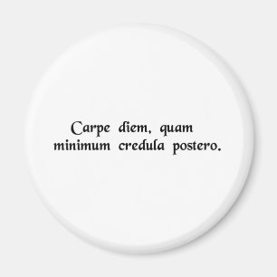 Seize the day, trust as little as possible...... magnet