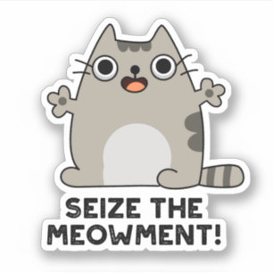 Seize The Meow-ment Positive Cat Pun 