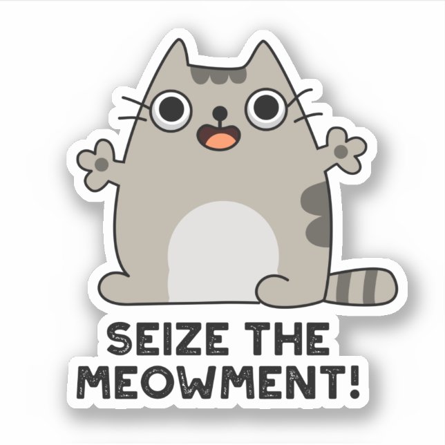 Seize The Meow-ment Positive Cat Pun  (Front)