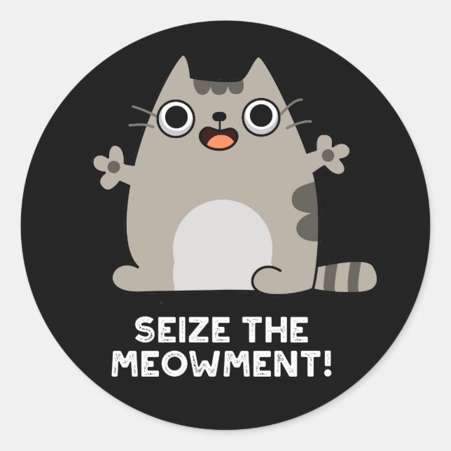 Seize The Meow-ment Positive Cat Pun Dark BG Classic Round Sticker (Front)