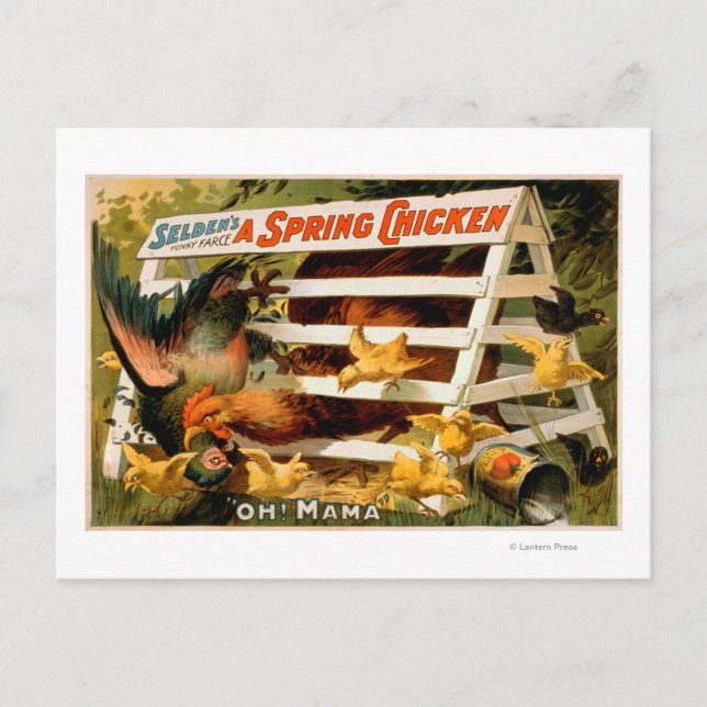 Selden's Funny Farce, A Spring Chicken Play 2 Postcard (Front)
