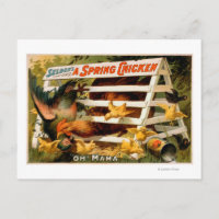 Selden's Funny Farce, A Spring Chicken Play 2
