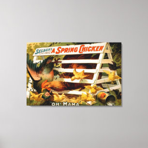Selden's Funny Farce, A Spring Chicken Play Canvas Print